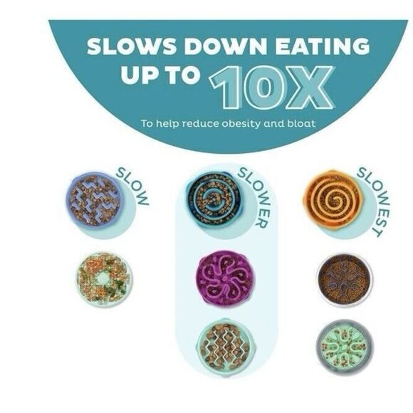 Outward Hound Fun Slow Feeder Dog Bowl Medium Turquoise & Metal Water Bowl - Picture 4 of 5